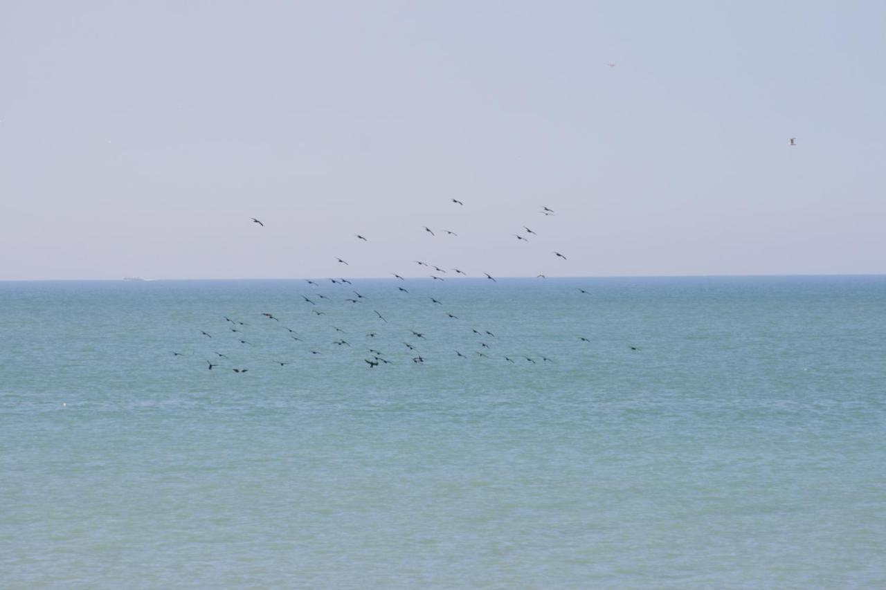A côté de la mer Ault Extérieur photo